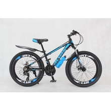 Image Bicicleta Alvas Spider 24