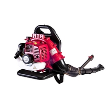 Image Suflanta pe benzina Raider RD-GB06