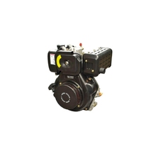 Image Motor pe diesel D173F 5cp