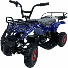 Image ATV electric ATV PAUK
