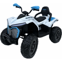 Image ATV Electric DLX-288