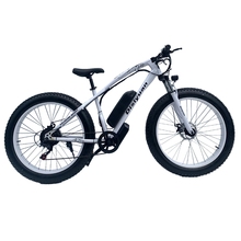 Image Bicicletă electrică Disiyuan 500 White