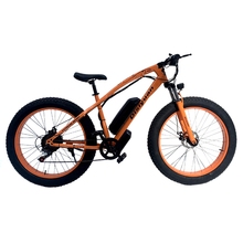 Image Bicicletă electrică Disiyuan 500