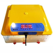 Image Инкубатор для яиц MS-36/144