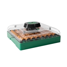 Image Инкубатор для яиц Des Champs EU PROFI C-72