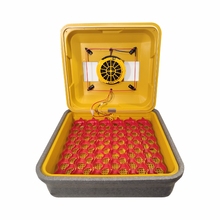 Image Инкубатор для яиц Teplusha 88 12/50 TAB PRO