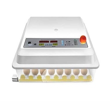Image Incubator pentru ouă MS-64 NEW