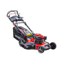Image Самоходная бензиновая газонокосилка Raider RD-GLM11 R20