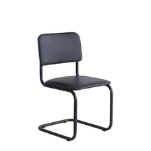 Image Scaun Sylwia, Scaden Negru