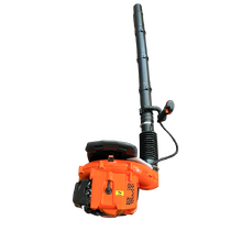 Image Suflanta de frunze pe benzina TOGO TG-EB430